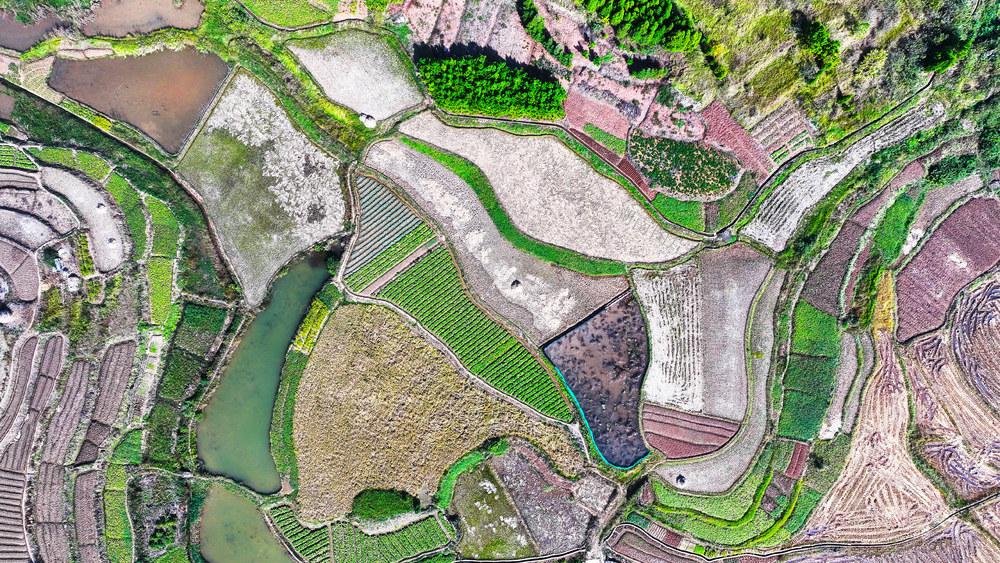 指纹  田园  大地  画卷