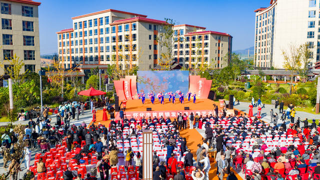 银发经济  养老  文化  艺术  怀化