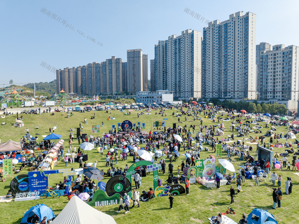 草地音乐 公园 新活力