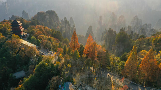 张家界 武陵源 天子山 风光 森林公园 初冬