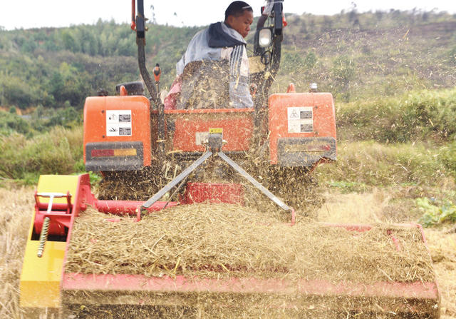 嘉禾：秸秆还田 变废为宝