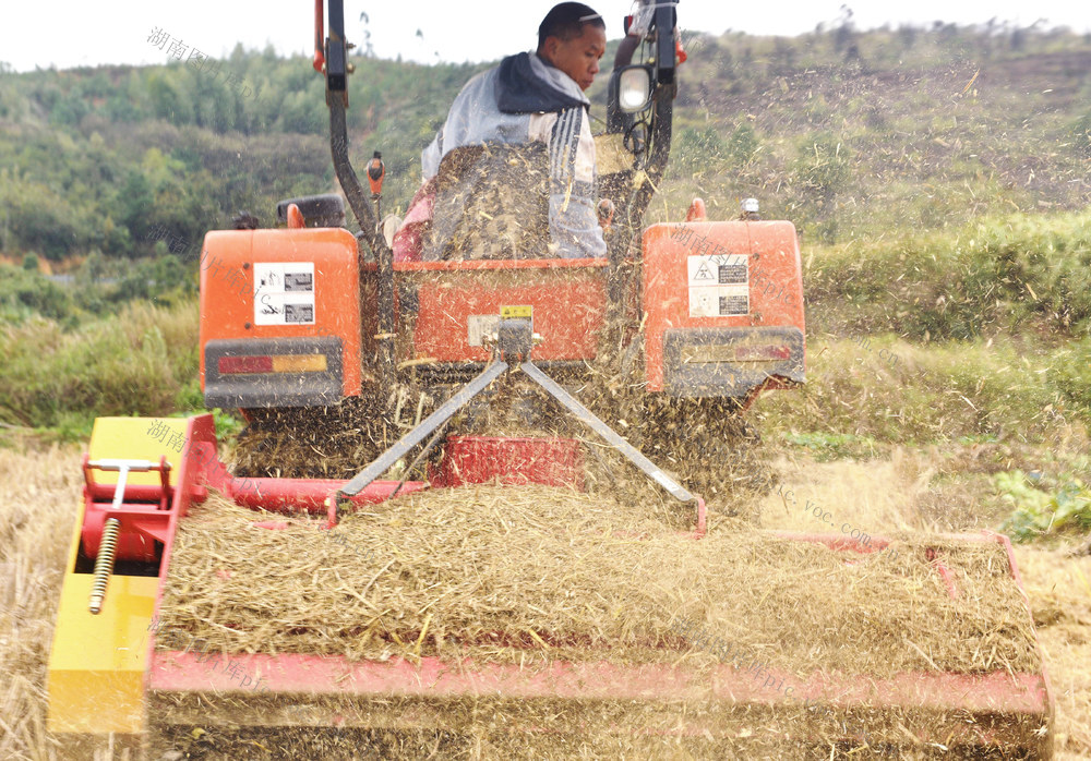 嘉禾：秸秆还田 变废为宝