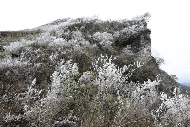 2025年第一场雪  电力员工特巡保电