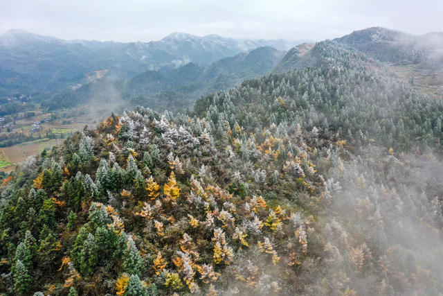 湖南，龙山，初冬，景色，色彩，入画