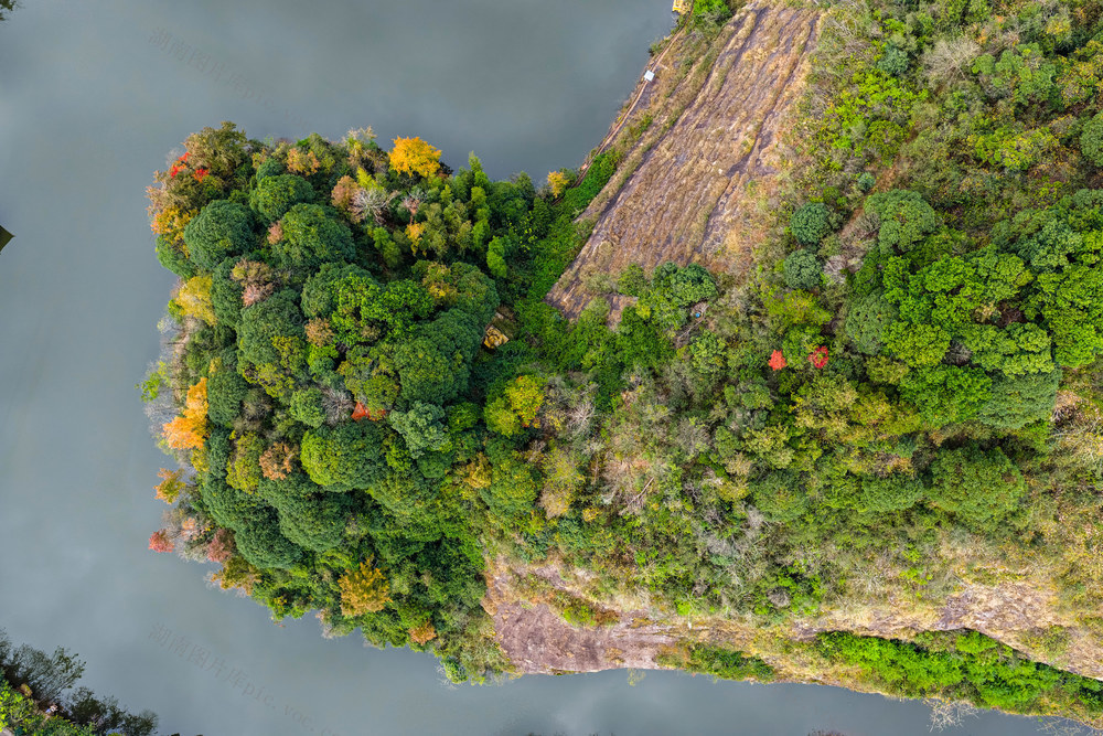 初冬 水库 公园 彩林 湿地