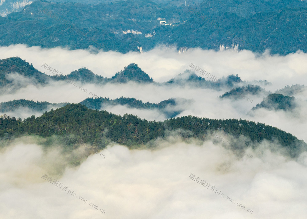 矮寨国家森林公园 云海 森林