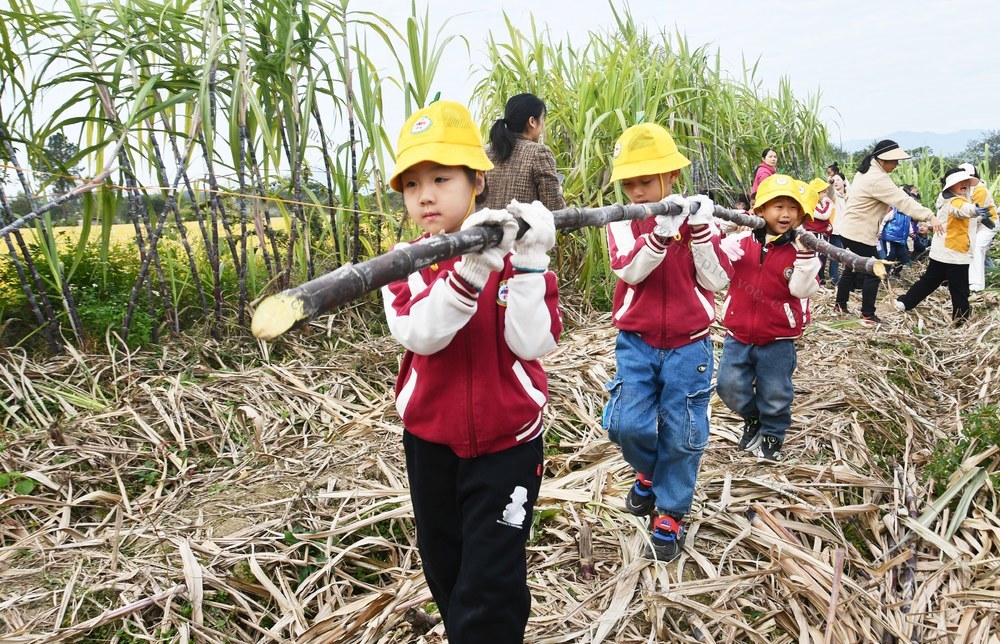 乐享丰收季 传承农耕情