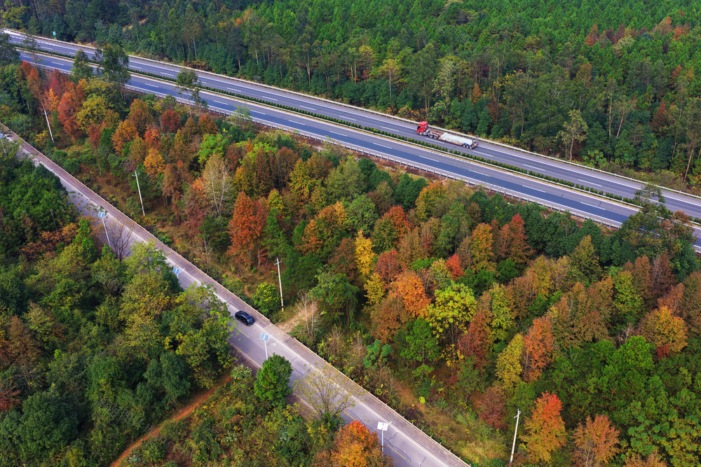 嘉禾：高速公路生态美