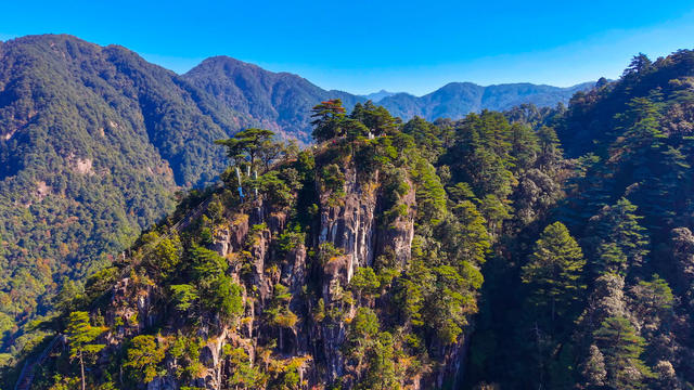 文化 文旅
