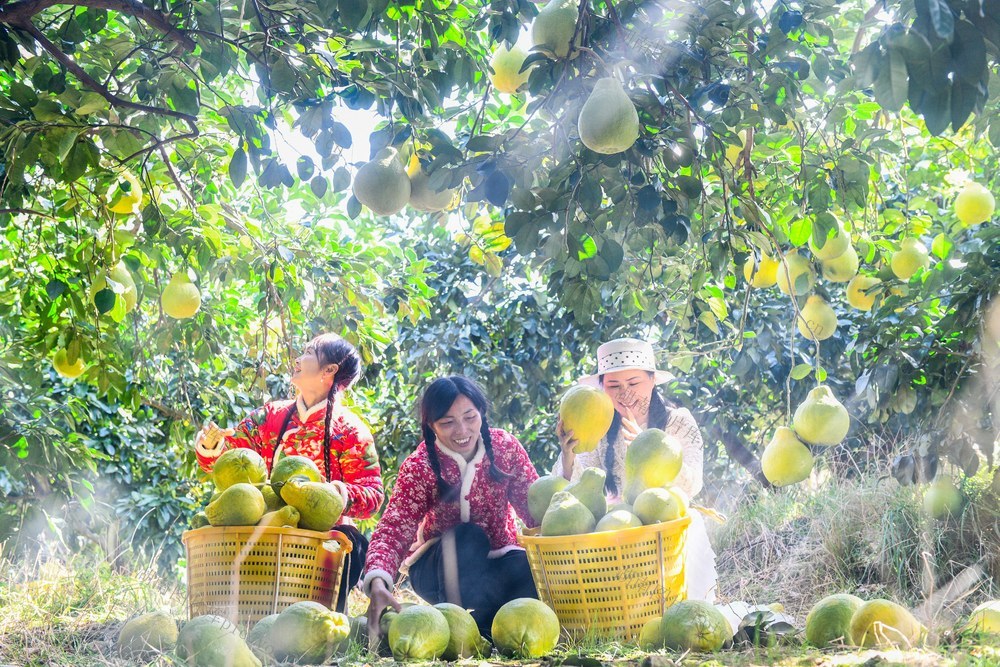 湖南道县：农旅融合促振兴