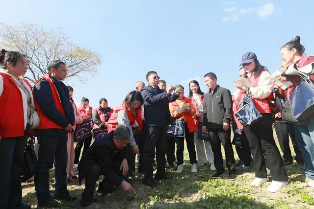 药材 种植 农民 培训 产业 赋能 乡村 振兴
