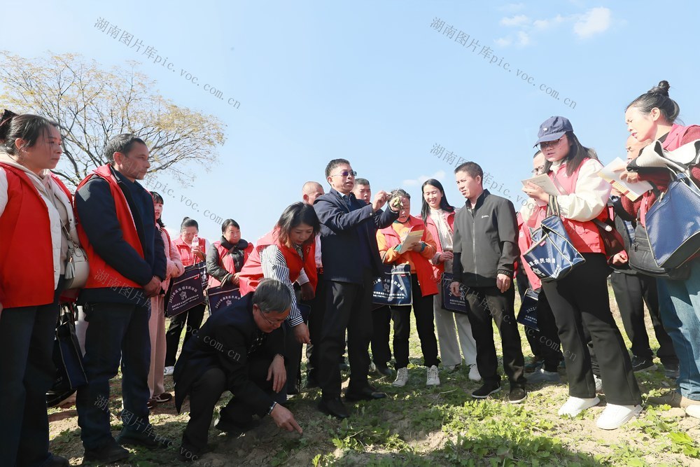 药材 种植 农民 培训 产业 赋能 乡村 振兴
