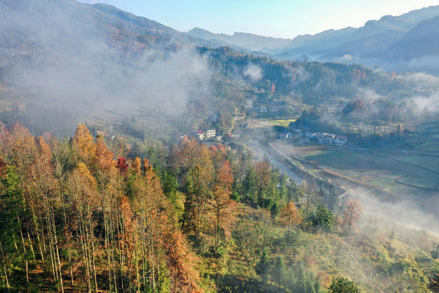 湖南，龙山，初冬，景色，色彩，美丽