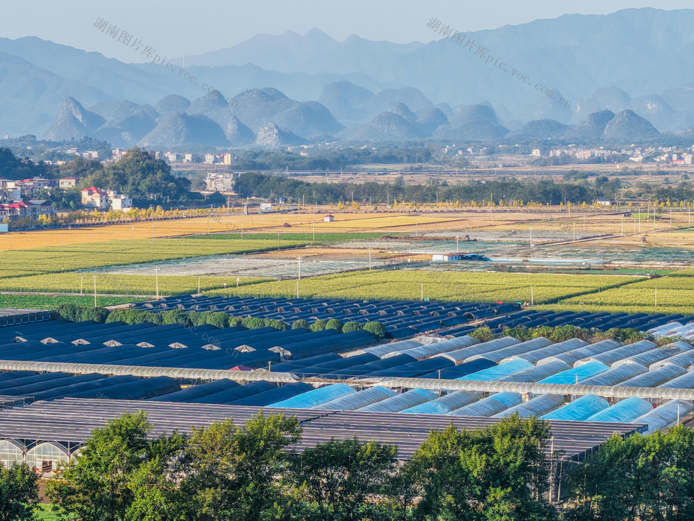 湖南道县：产业兴 乡村美