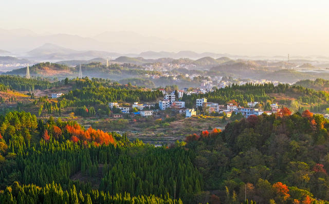 晨雾  山乡  风景  如画