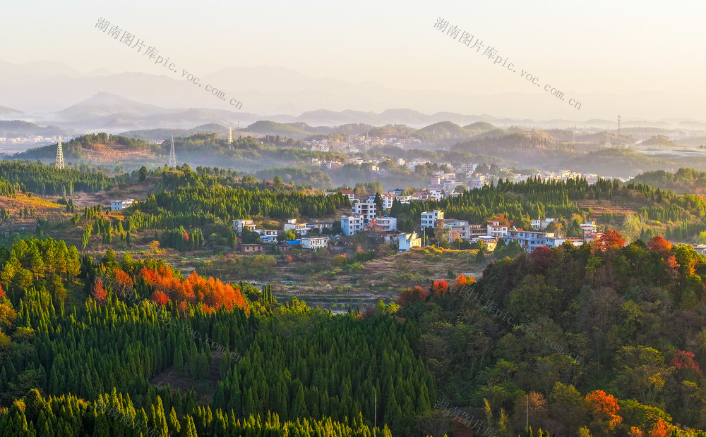 晨雾  山乡  风景  如画