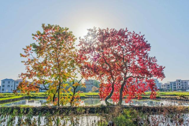 湖南道县：冬日山乡美