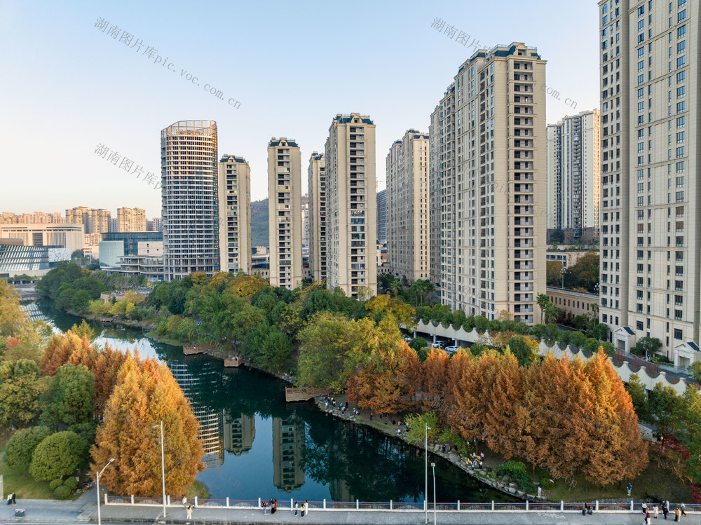 水杉 色彩斑斓 冬日 湾溪河