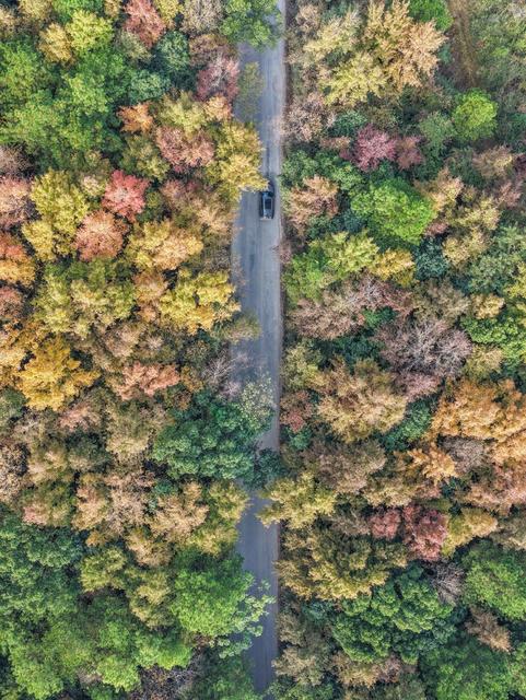 湖南道县：色彩斑斓如画卷