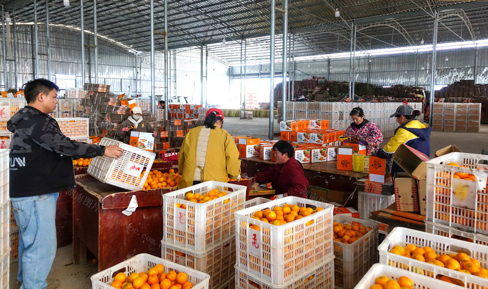 线上线下销售忙