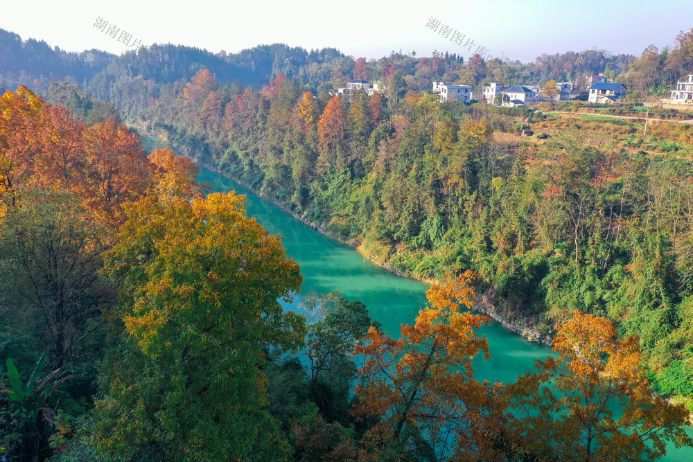 湖南，龙山，冬日，美景，阳光，树叶，河水，村庄