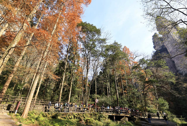 张家界 旅游 冬季