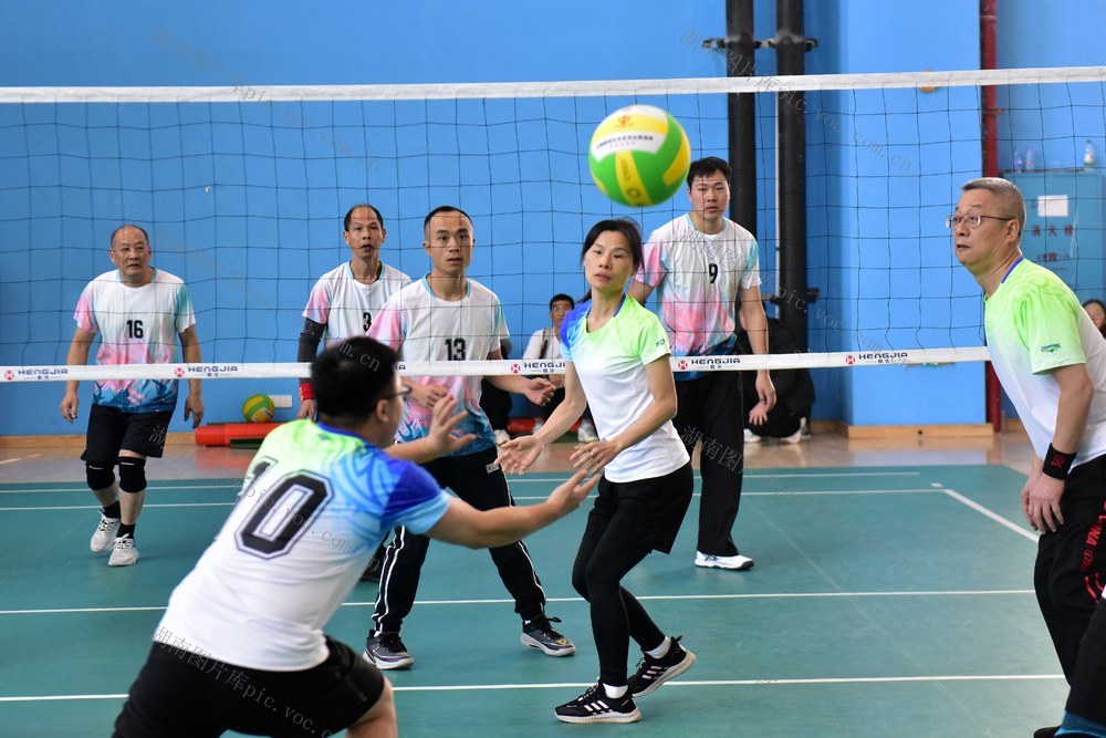 职工文化  气排球  体育比赛