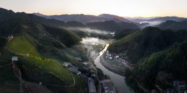 洞口 鼓楼 茶园 茶厂 夕阳 日落 全景