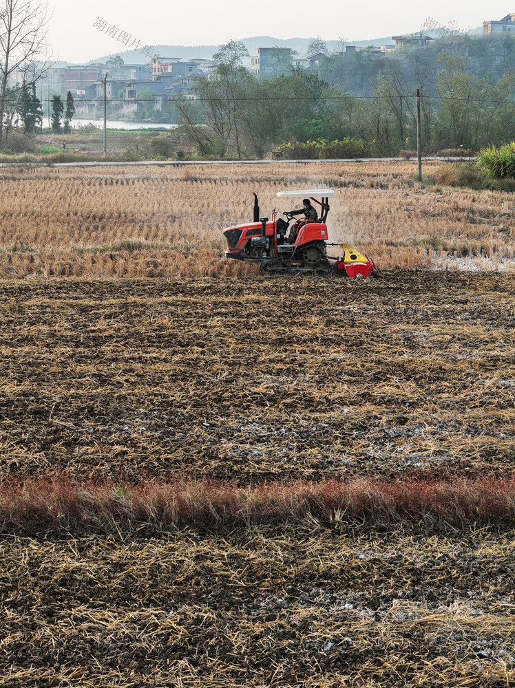 嘉禾：农田翻耕助生产
