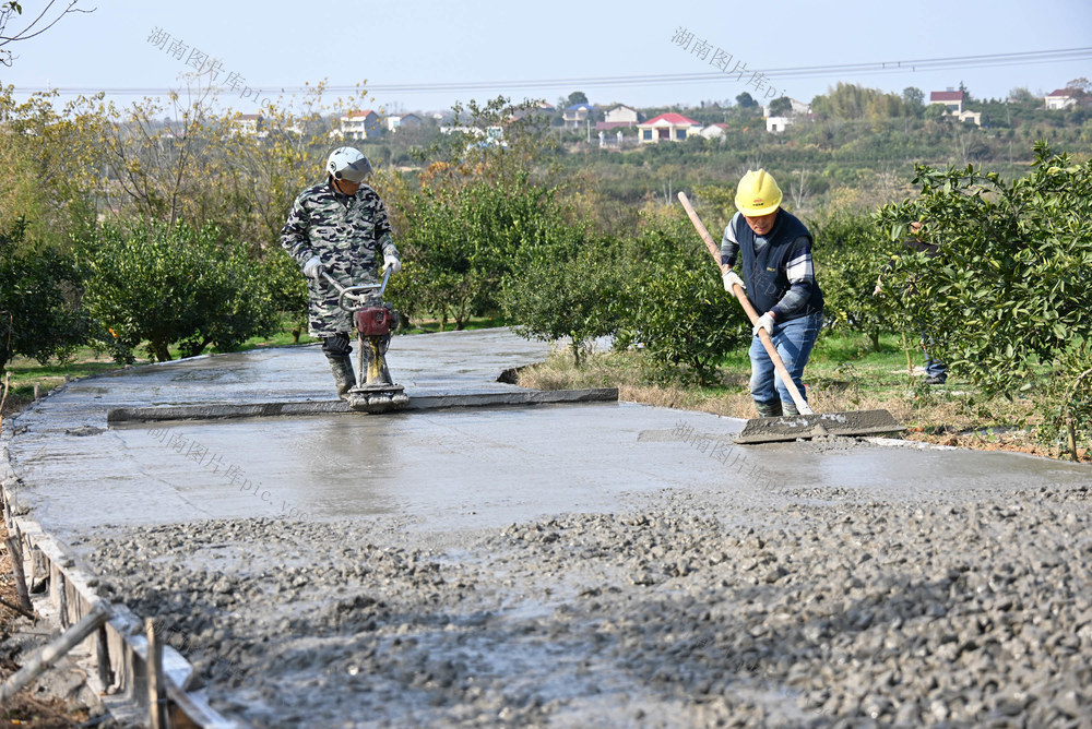 柑橘  产业发展  惠农项目  道路硬化  