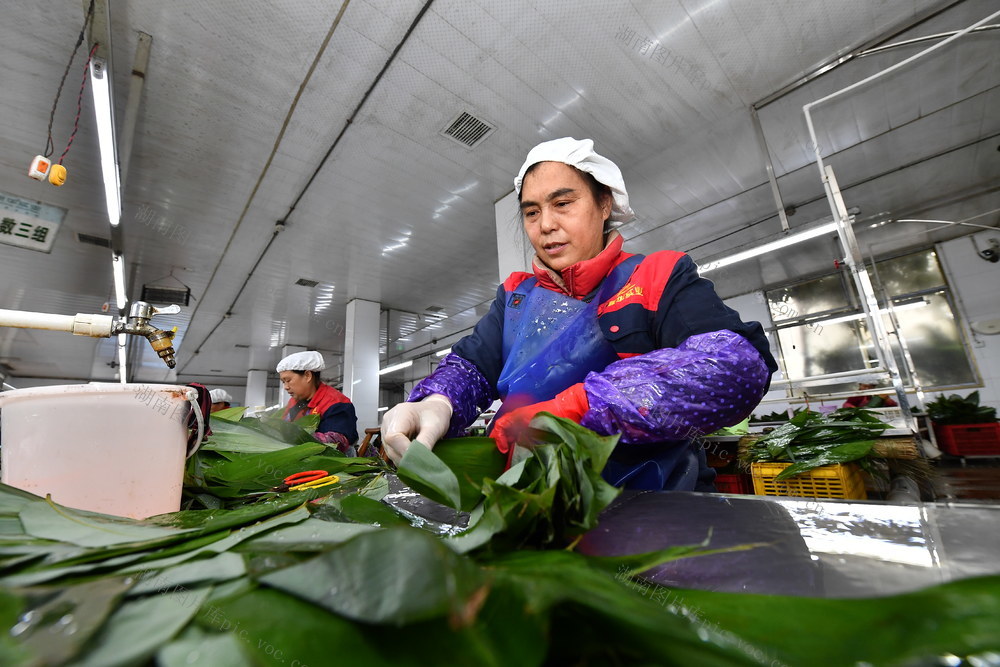 张家界 桑植 粽叶 康华 增收 乡村振兴 致富 基地