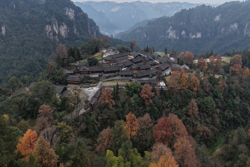 土家族 湖南 湘西 苗族 花垣县 双龙镇 十八洞    枫叶  火红  美景  如画