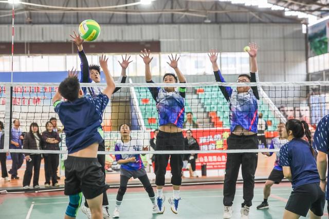 气排球 比赛 运动 健身 供销联社 永州