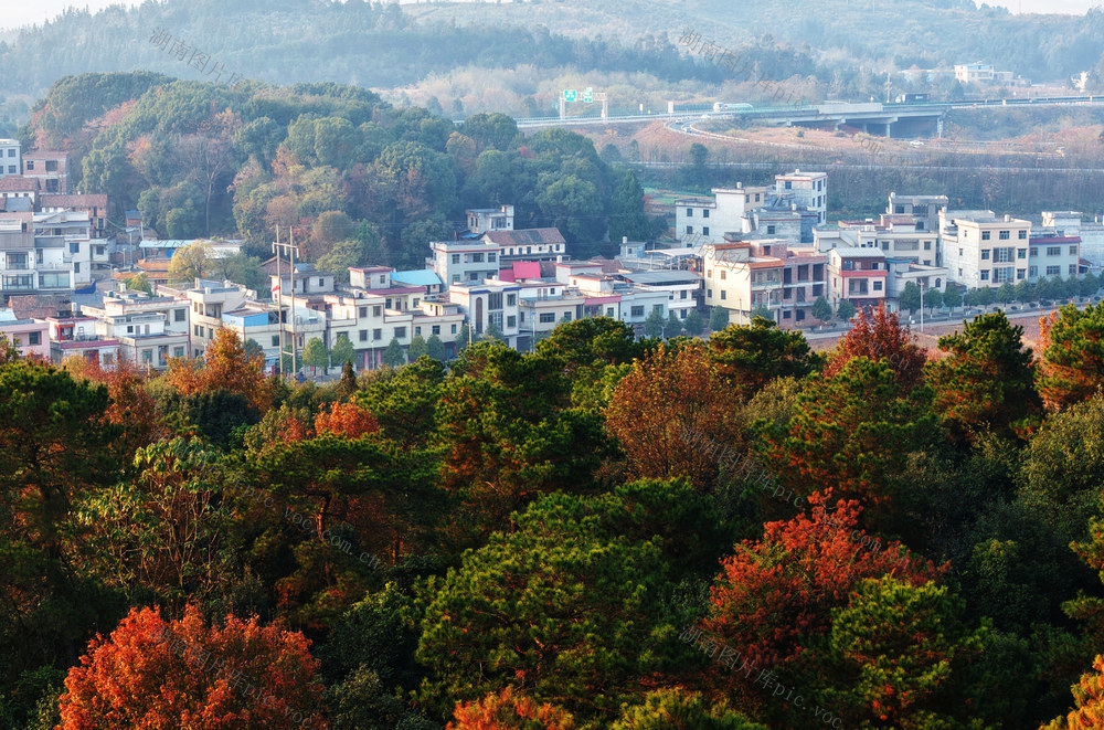 嘉禾：冬日乡村生态美