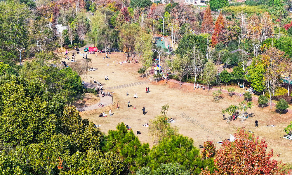 生态  公园  健身  乐园  冬景