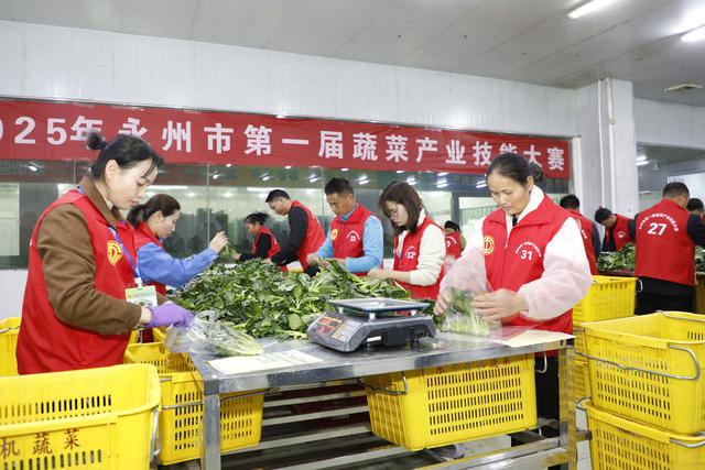 永州 第一届蔬菜产业 技能大赛 新田县 东升农场 