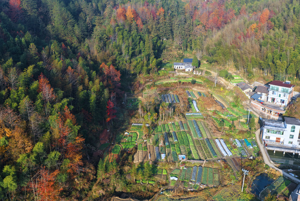 湖南桂东 彩林 村舍 冬 家园