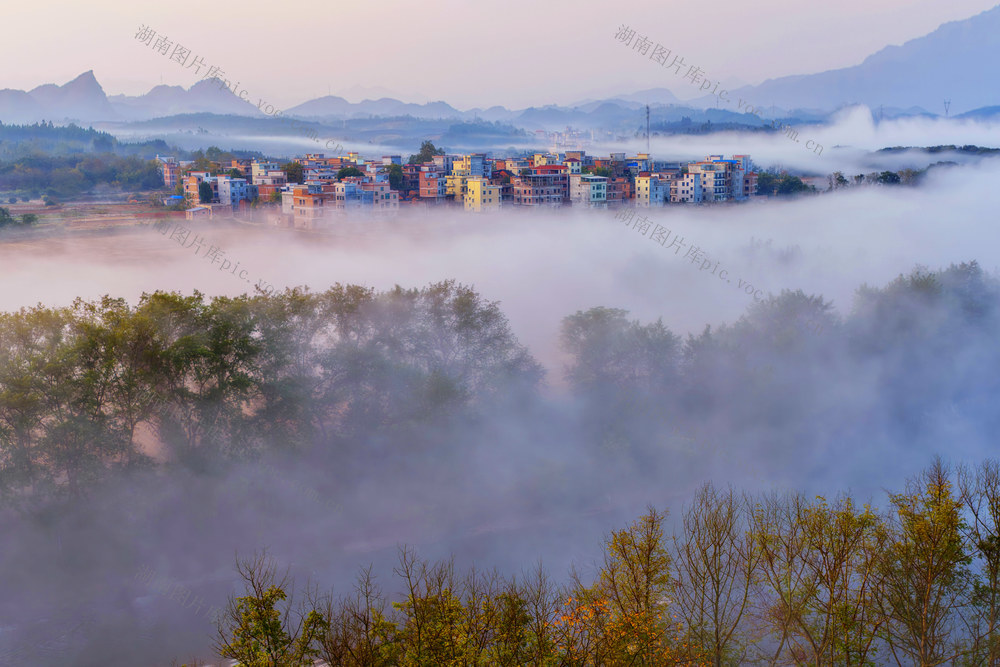 嘉禾：乡村晨曦美如画