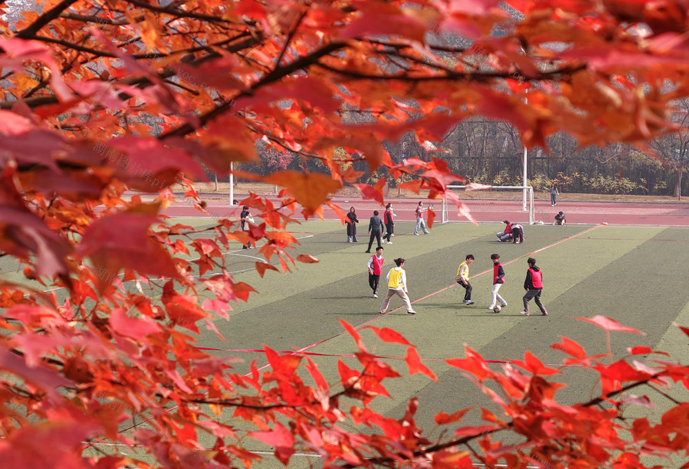 大学校园 运动 锻炼 