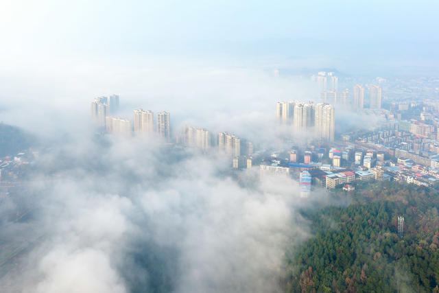 城市  晨雾    