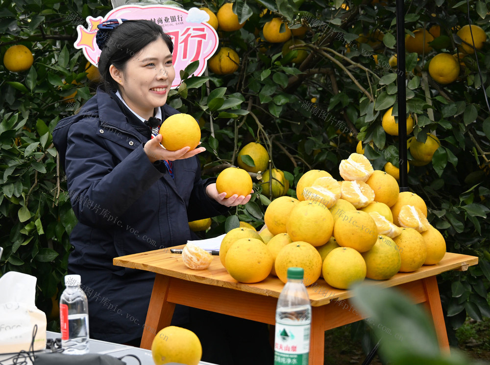 农业  水果种植  葡萄柚  金融服务  新媒体  直播营销