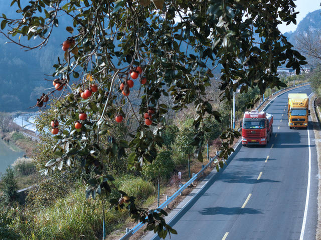 湖南桂东 国道 柿 画