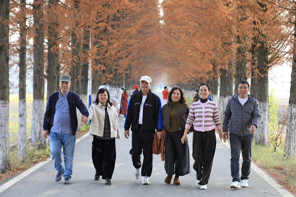 湖南  常宁  乡村  公路  
