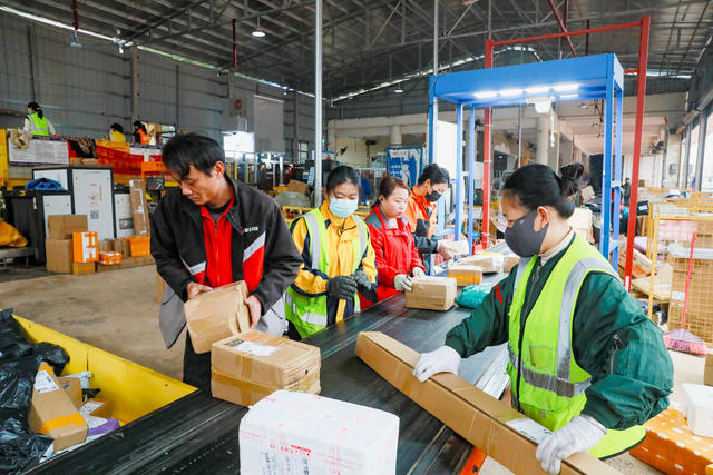 双十二  快递  分拣  忙碌