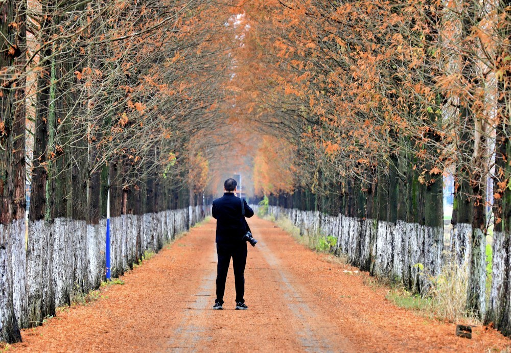 湖南  常宁  乡村  公路  美景