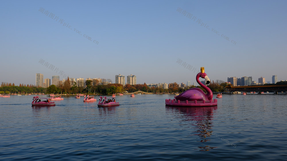 ：乐享冬日暖阳  