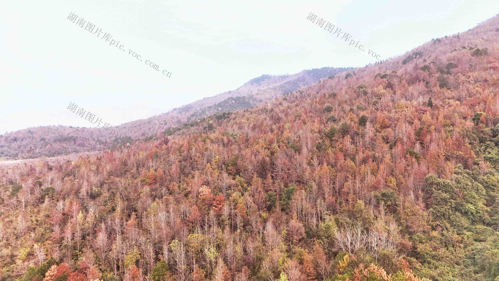   缤纷冬日景如画