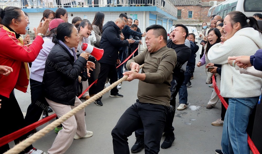 学校 教师 拔河