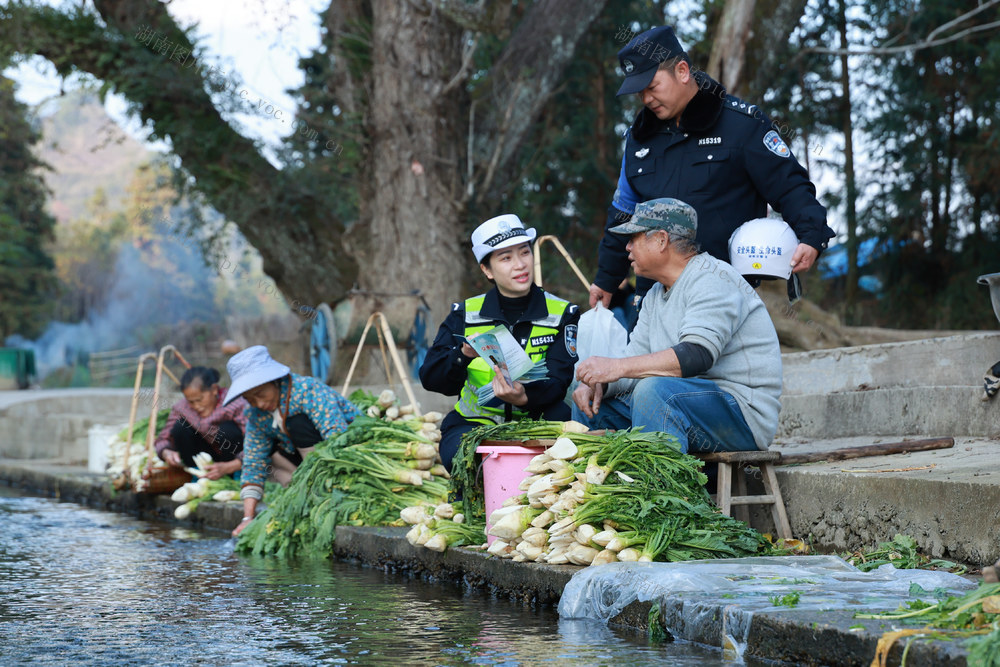 交警 宣传 派出所 乡村 警察