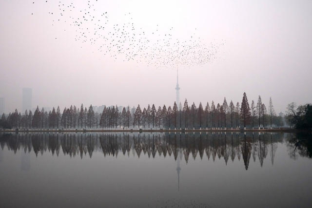 遭遇重污染天气